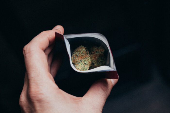 Closeup shot of a hand holding a bag of marijuana isolated on black background