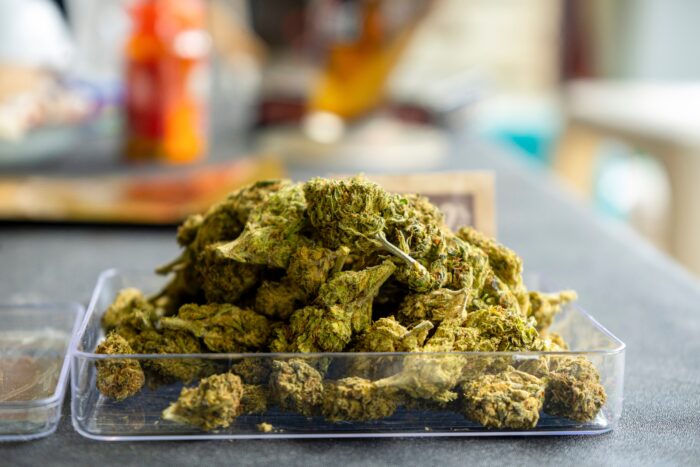 Marijuana and Cannabis Buds. Medical marijuana flower. Weed buds. Cannabis strain.