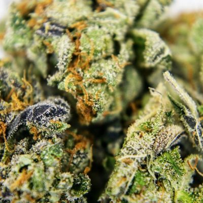 בננה קוש Banana Kush