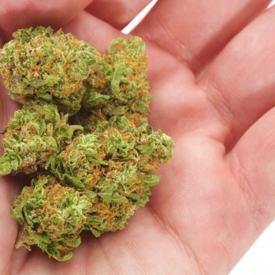ברוס באנר Bruce Banner