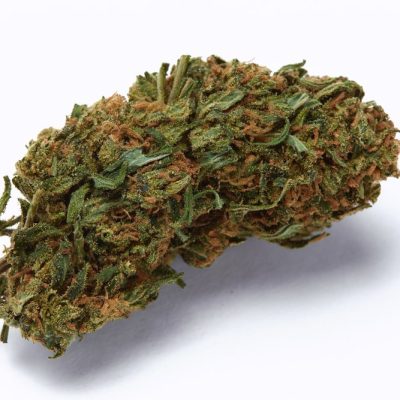 מנגו קוש Mango Kush