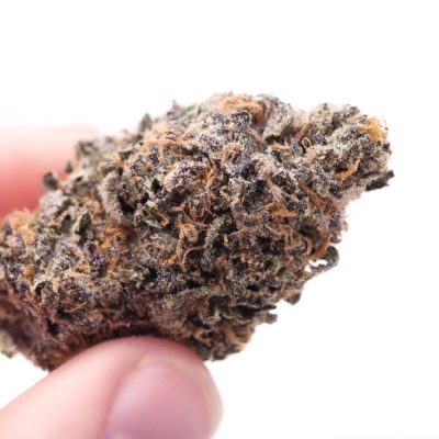 קוטון קנדי קוש Cotton Candy Kush
